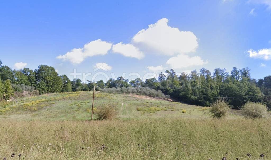 terreno agricolo in vendita a San Miniato