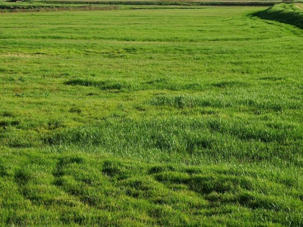 terreno agricolo in vendita a San Miniato in zona San Miniato Alto