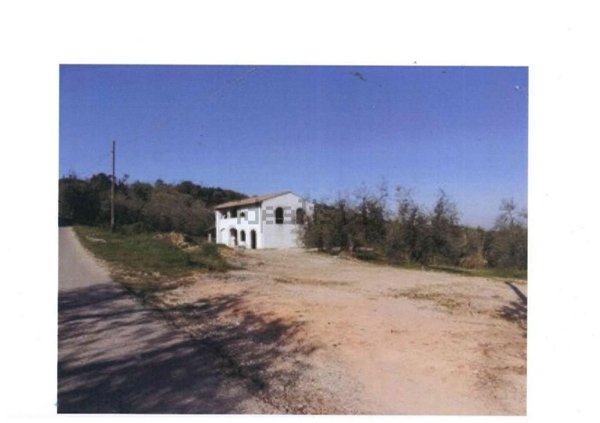 azienda agricola in vendita a San Miniato