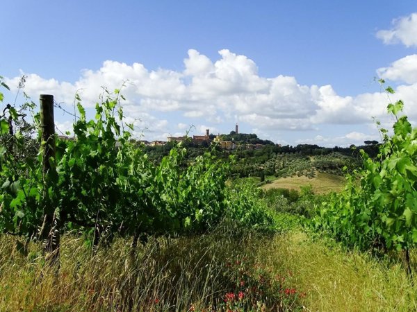 casa indipendente in vendita a San Miniato in zona Canneto