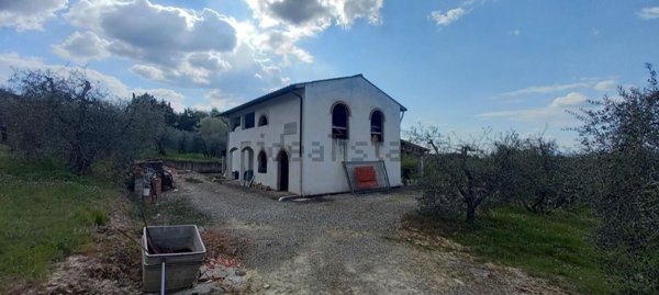 azienda agricola in vendita a San Miniato
