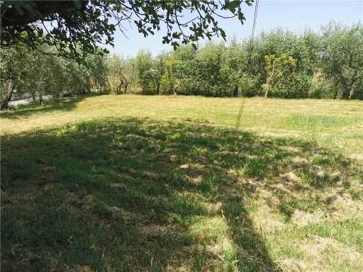 intera palazzina in vendita a San Miniato in zona Isola