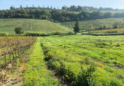 negozio in vendita a San Miniato