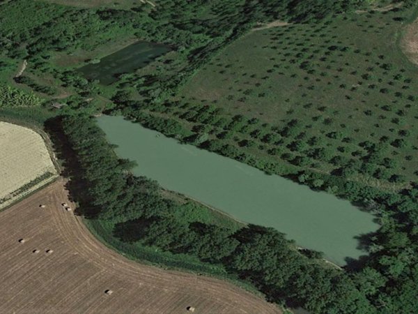 terreno agricolo in vendita a San Miniato in zona La Scala