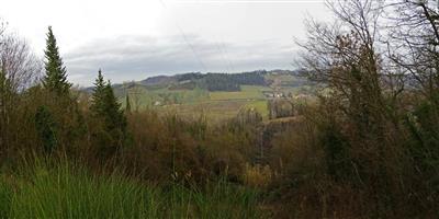 terreno agricolo in vendita a San Miniato