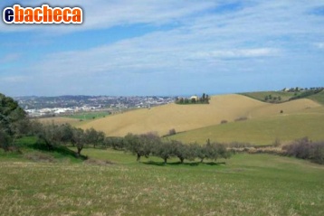 casa indipendente in vendita a San Miniato in zona Cigoli