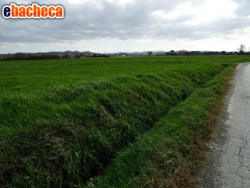 terreno agricolo in vendita a San Miniato in zona Catena