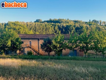 appartamento in vendita a San Miniato