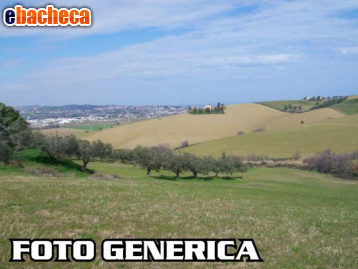 terreno agricolo in vendita a San Miniato