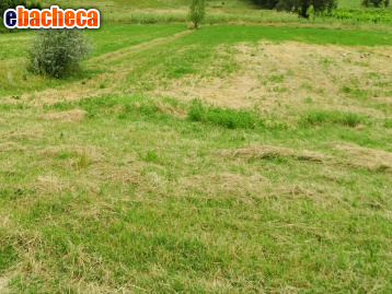 terreno agricolo in vendita a San Miniato
