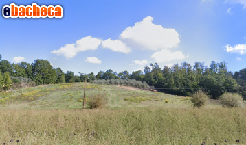 terreno agricolo in vendita a San Miniato in zona San Romano