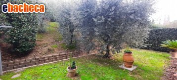 casa indipendente in vendita a San Miniato in zona Ponte a Egola