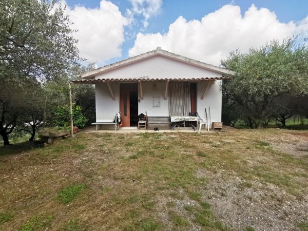 terreno agricolo in vendita a San Miniato