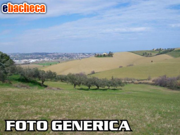 terreno agricolo in vendita a San Miniato in zona Cigoli