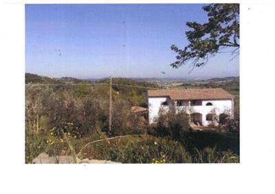 azienda agricola in vendita a San Miniato in zona Balconevisi
