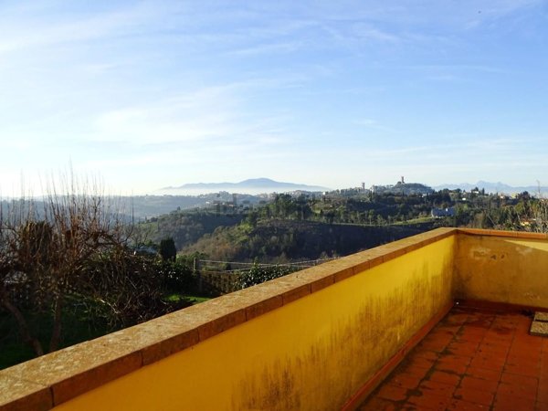 terreno agricolo in vendita a San Miniato