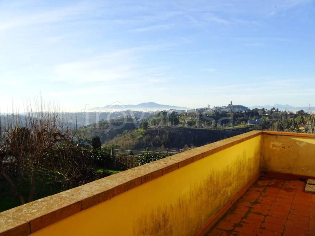 terreno agricolo in vendita a San Miniato