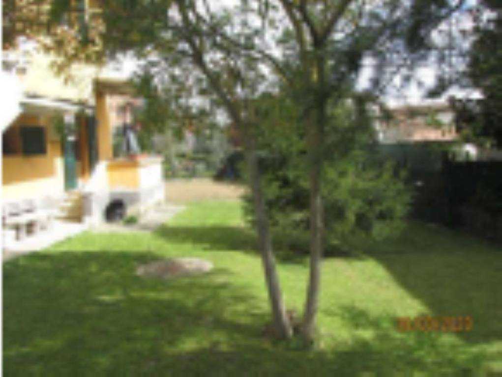 terreno agricolo in vendita a San Miniato