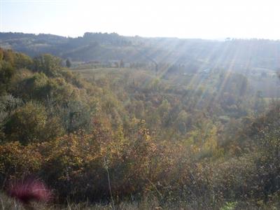 terreno agricolo in vendita a San Miniato in zona San Miniato Alto