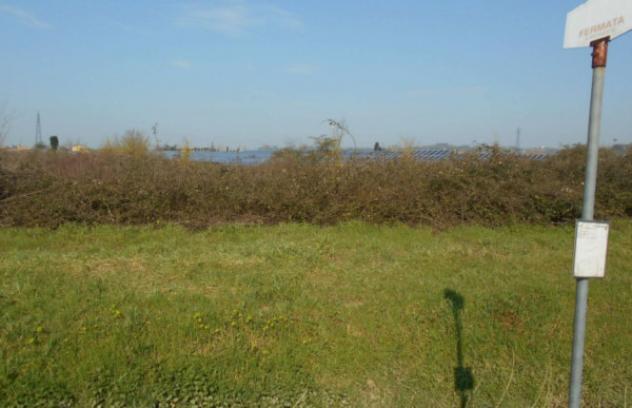 terreno agricolo in vendita a San Miniato in zona Isola