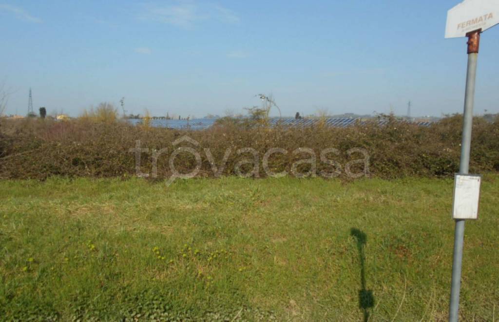 terreno agricolo in vendita a San Miniato in zona Isola