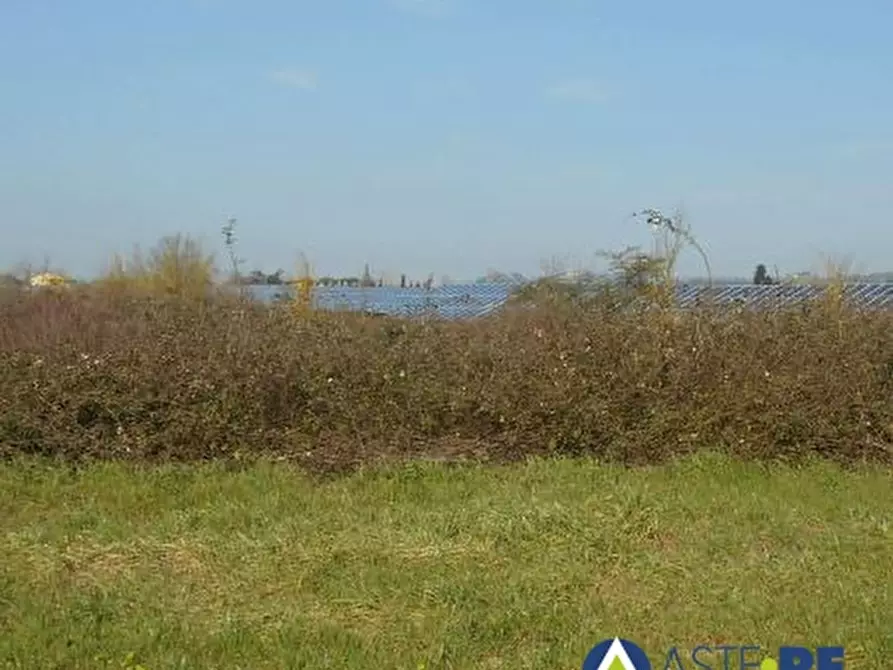 terreno agricolo in vendita a San Miniato