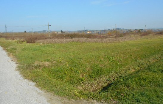 terreno agricolo in vendita a San Miniato in zona Isola