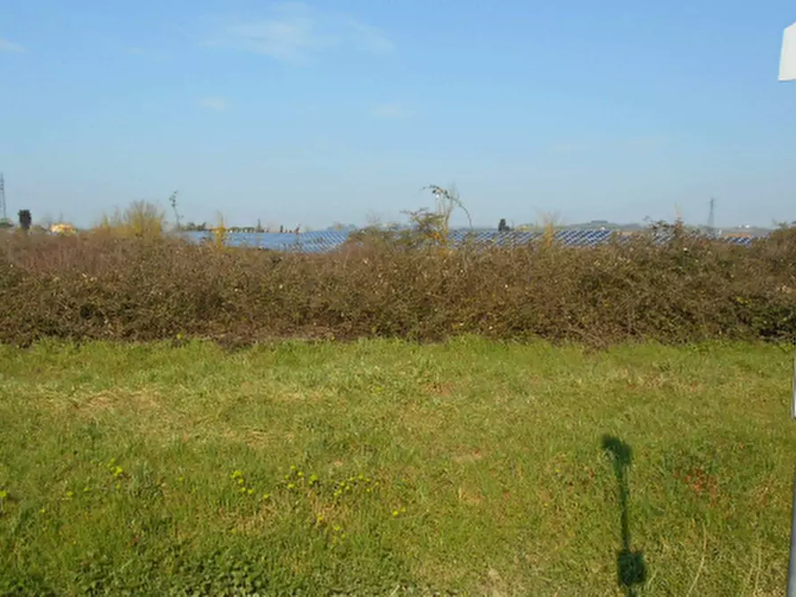 terreno agricolo in vendita a San Miniato in zona Isola