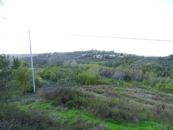 terreno agricolo in vendita a San Miniato