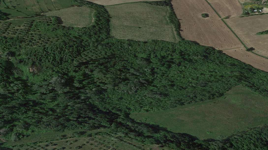 terreno agricolo in vendita a San Miniato in zona Cusignano