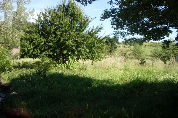 terreno agricolo in vendita a San Miniato