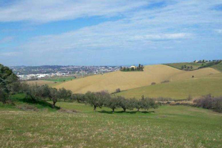 terreno agricolo in vendita a San Miniato