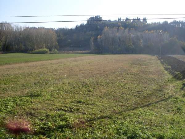 terreno agricolo in vendita a San Miniato in zona San Miniato Alto