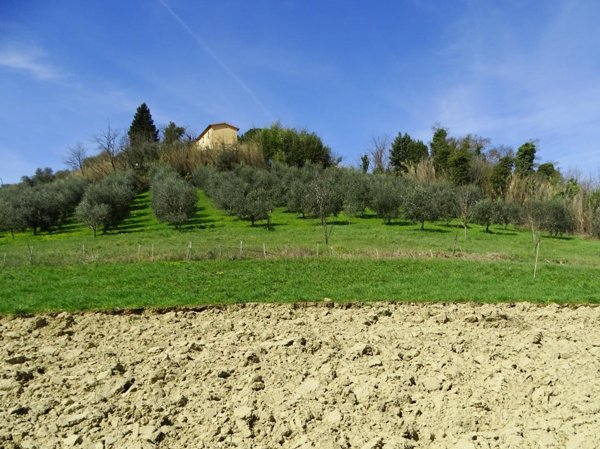 casa indipendente in vendita a San Miniato in zona Cigoli