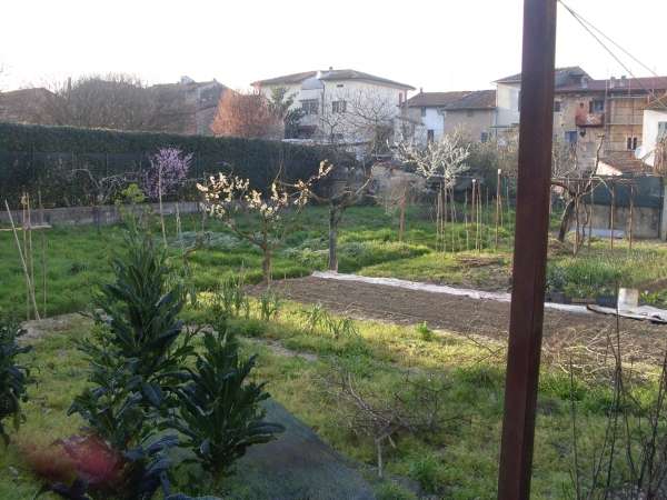 terreno edificabile in vendita a San Miniato in zona Ponte a Egola