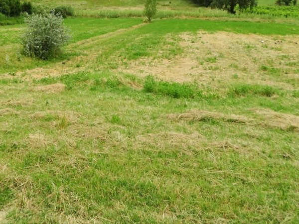 terreno agricolo in vendita a San Miniato
