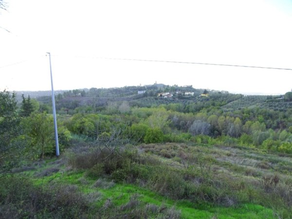 terreno agricolo in vendita a San Miniato