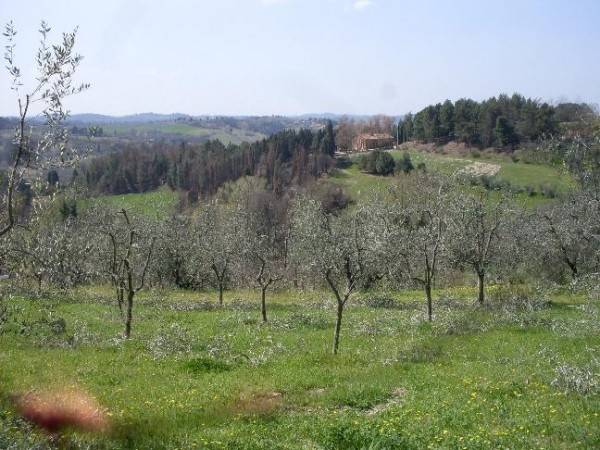terreno agricolo in vendita a San Miniato in zona La Scala