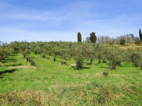 negozio in vendita a San Miniato in zona Cusignano
