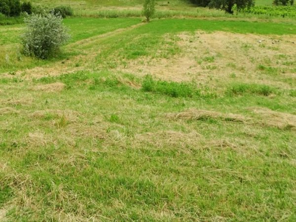 terreno agricolo in vendita a San Miniato in zona La Scala