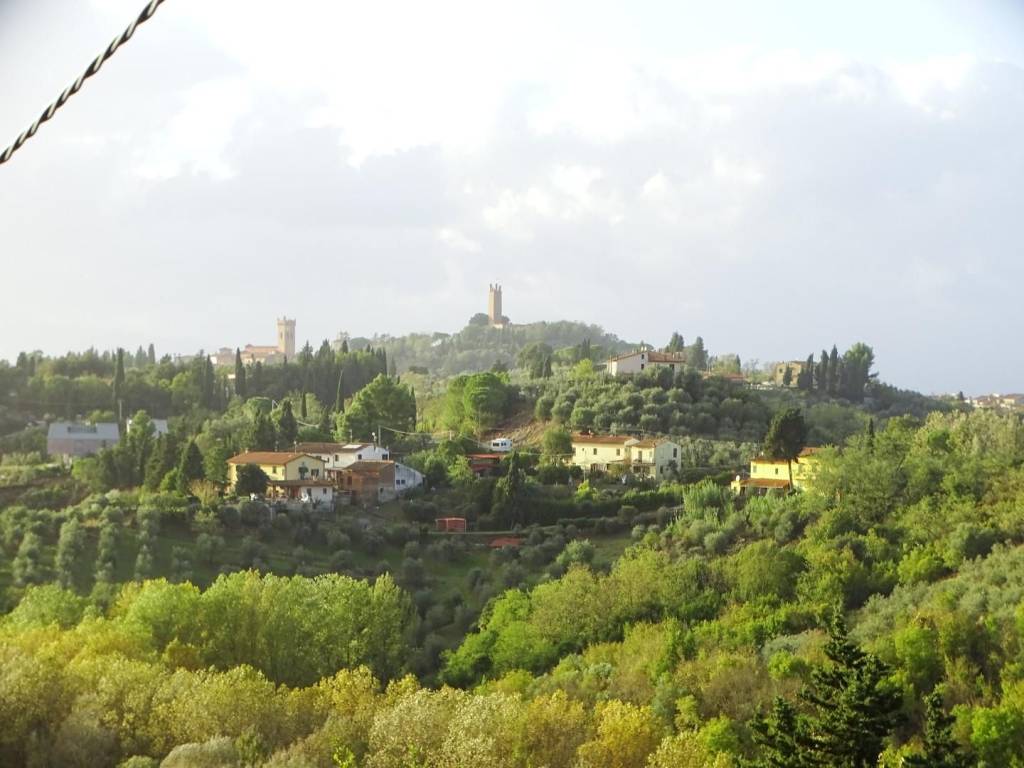 terreno agricolo in vendita a San Miniato in zona La Scala