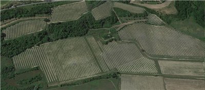 terreno agricolo in vendita a San Miniato