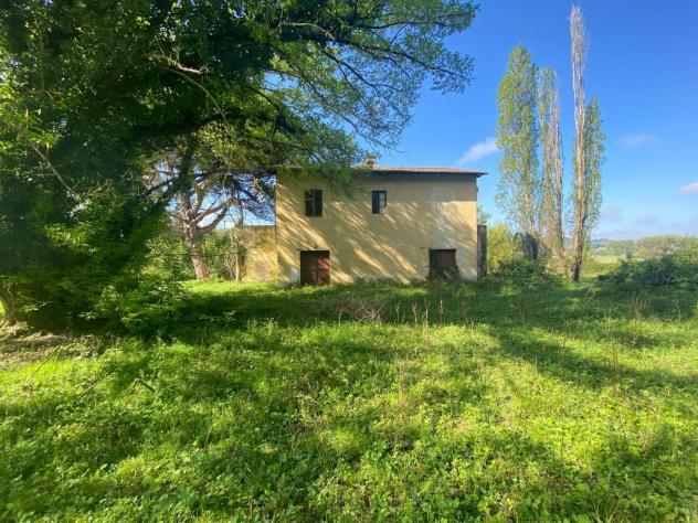 azienda agricola in vendita a San Miniato in zona Corazzano