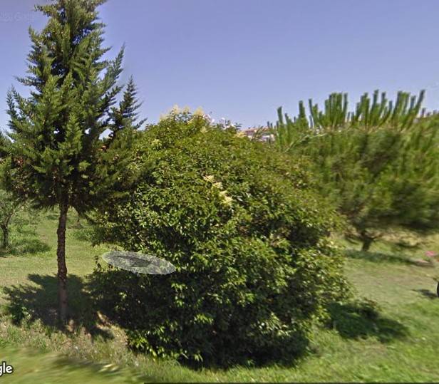 appartamento in vendita a San Miniato in zona Ponte a Egola