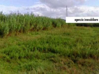 terreno agricolo in vendita a San Miniato