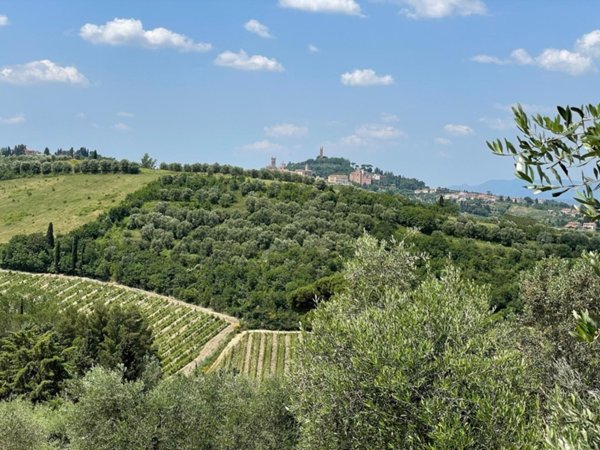 pentavano in vendita a San Miniato