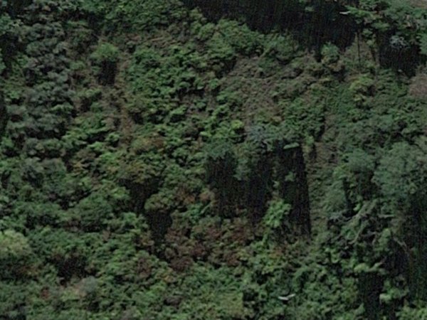 terreno agricolo in vendita a San Miniato in zona Cigoli