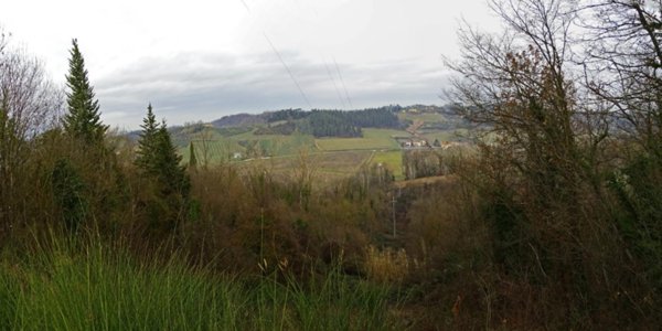 terreno agricolo in vendita a San Miniato in zona La Scala