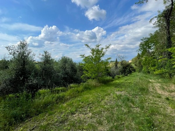 terreno agricolo in vendita a San Miniato in zona Ponte a Elsa