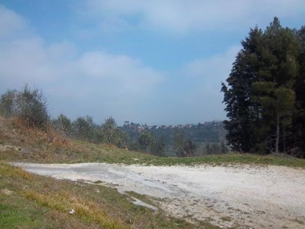 terreno agricolo in vendita a San Miniato